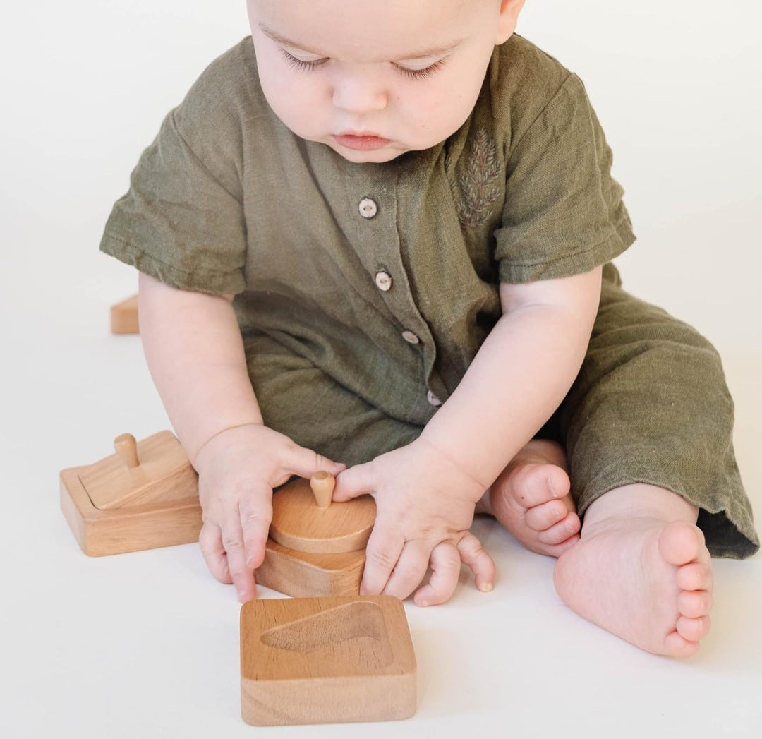 Montessori Wooden Shape Puzzles