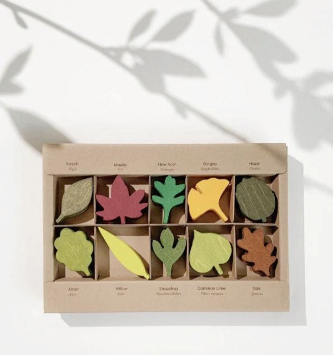 Wooden Leaf Play Set - 40-Piece Loose Parts Play for Little Botanists