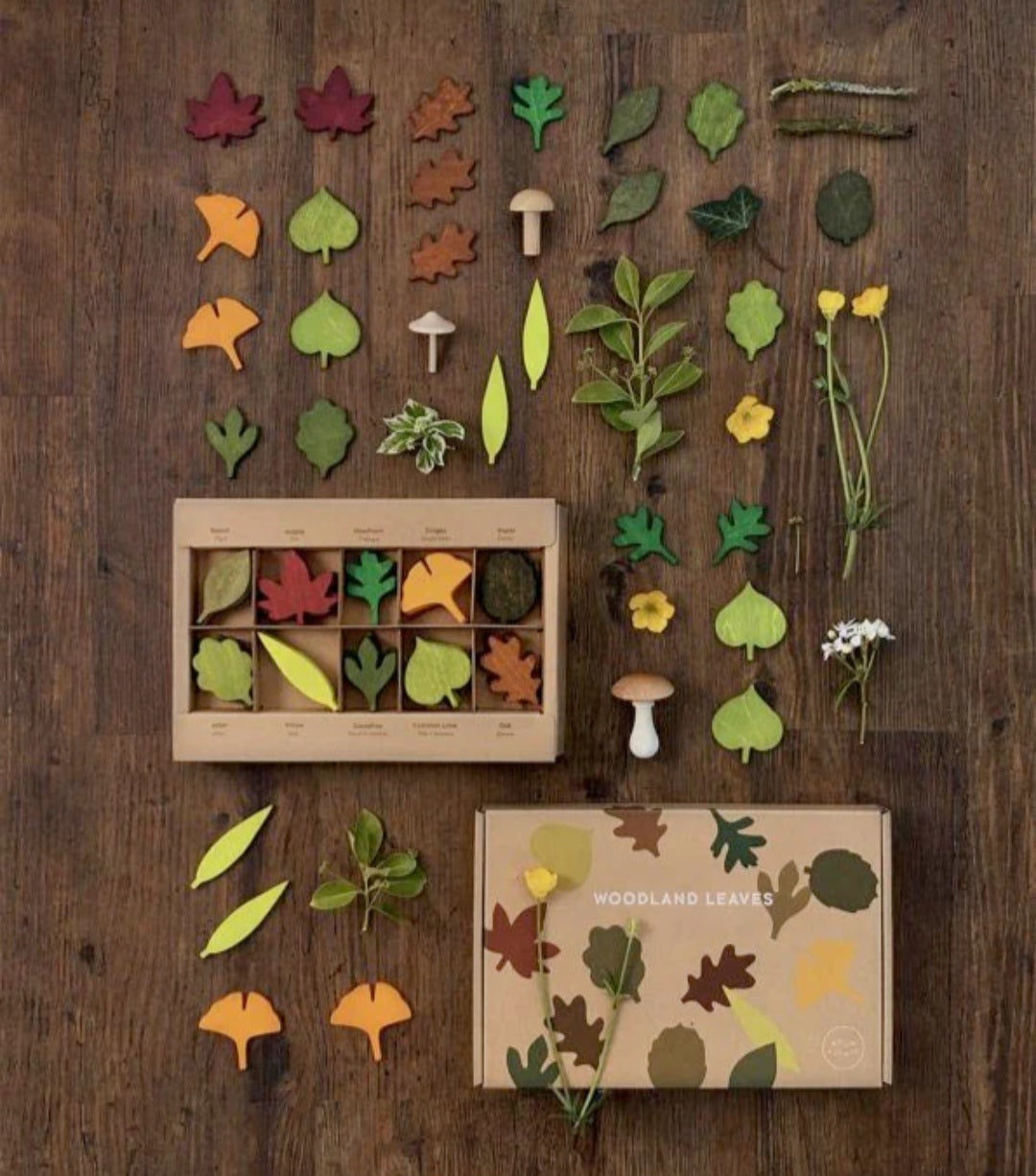 Wooden Leaf Play Set - 40-Piece Loose Parts Play for Little Botanists