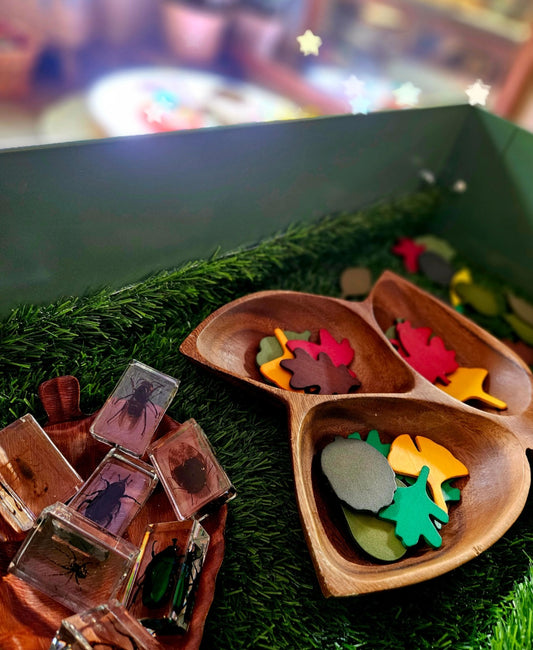 🍁 Little Botanists Leaf Sorting & Loose Parts Set - 40 pieces