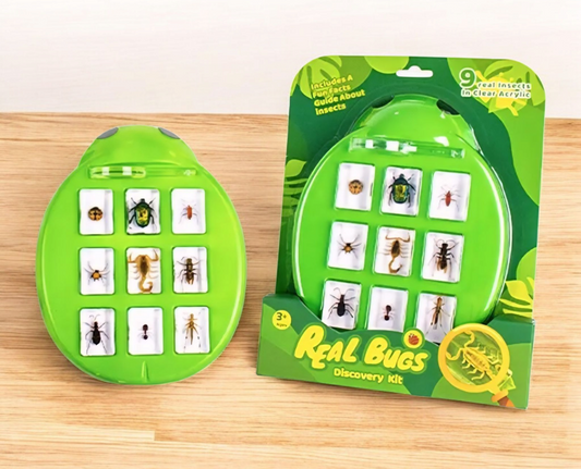 Real Specimens Discovery Sets