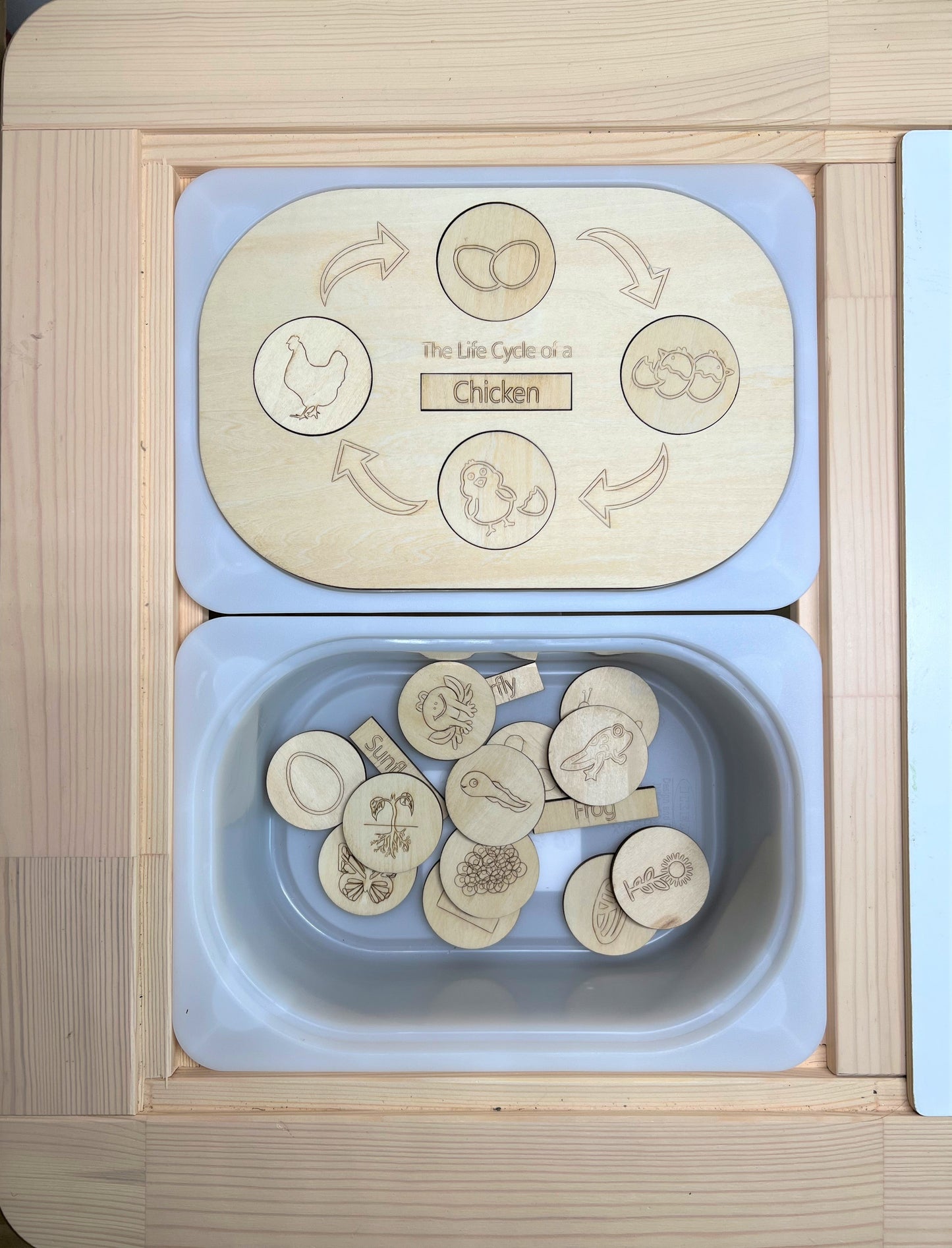 **Pre-order (Ships in 3-4 Weeks)**FLISAT Sensory Bin Insert Activity Board