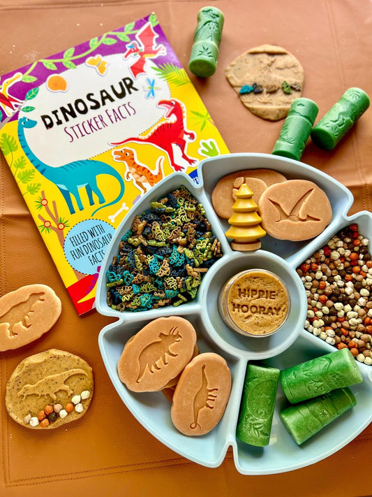 Custom Dinosaur Pasta Sensory Bin Filler