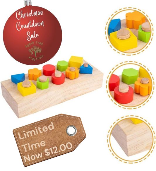 Christmas Countdown Sale Price! Montessori Wooden Nut & Bolts Toy