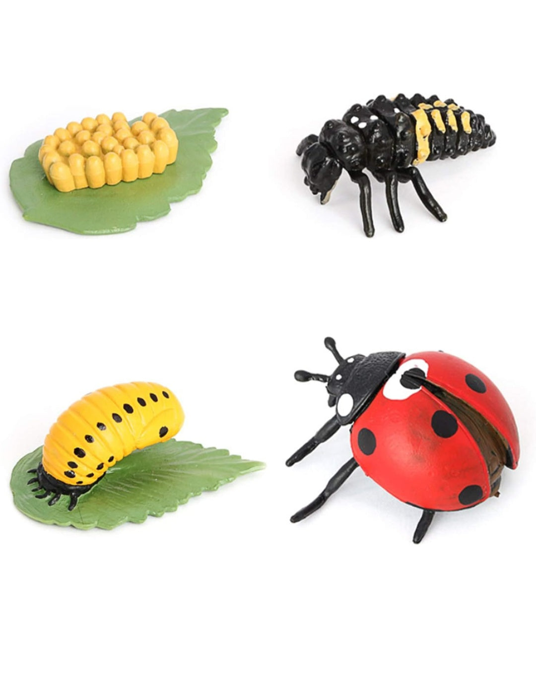 Life Cycle Figurine Sets