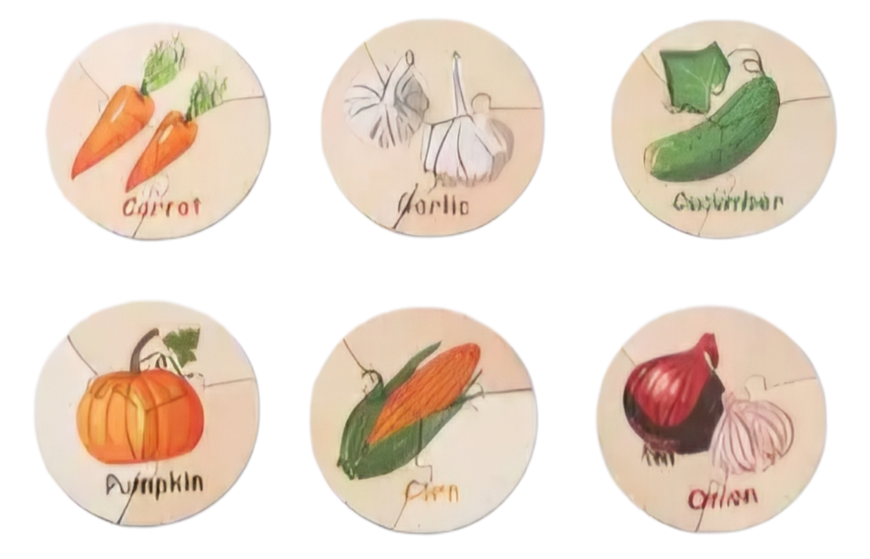 Match & Learn Circles