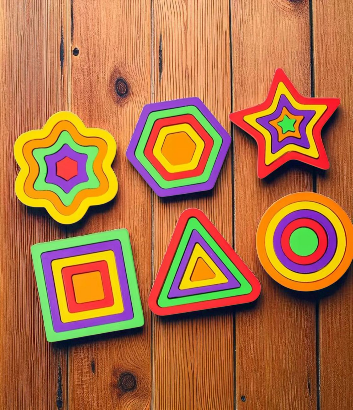 Montessori Wooden Shape Sorting Puzzles