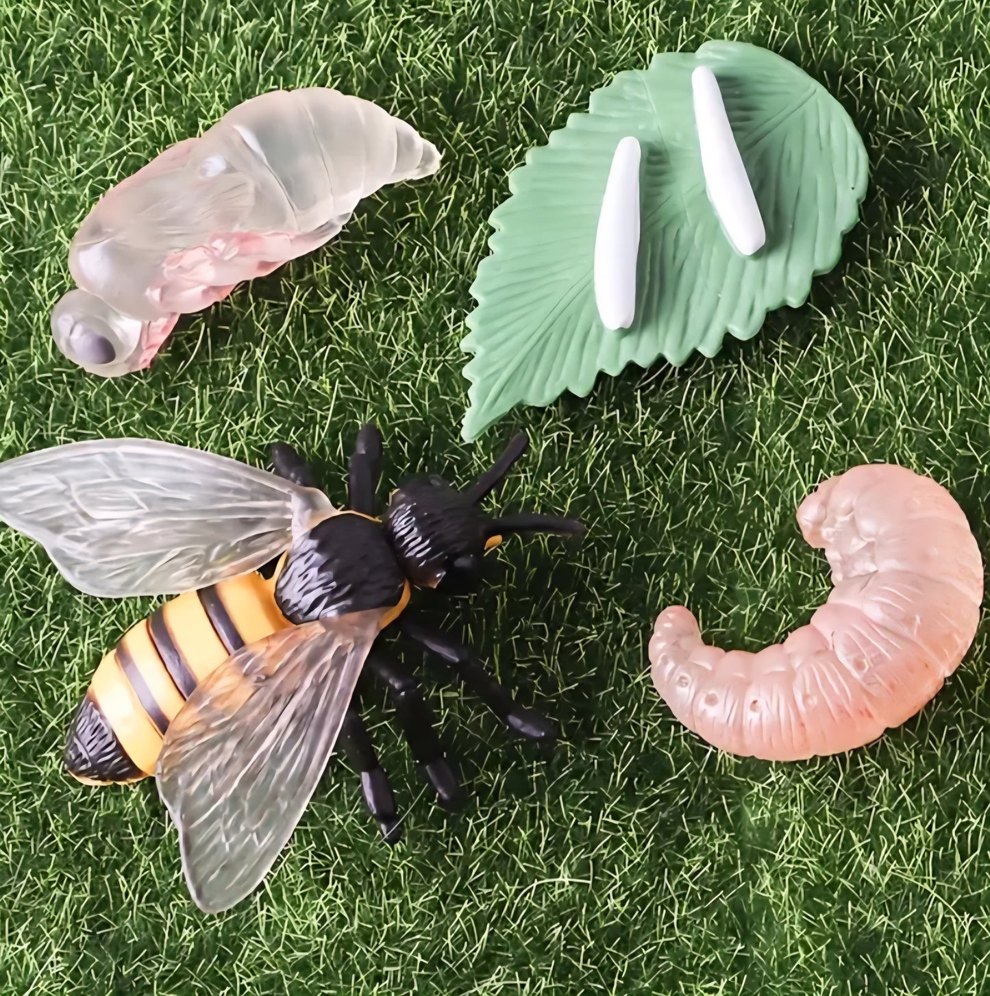 Life Cycle Figurine Sets