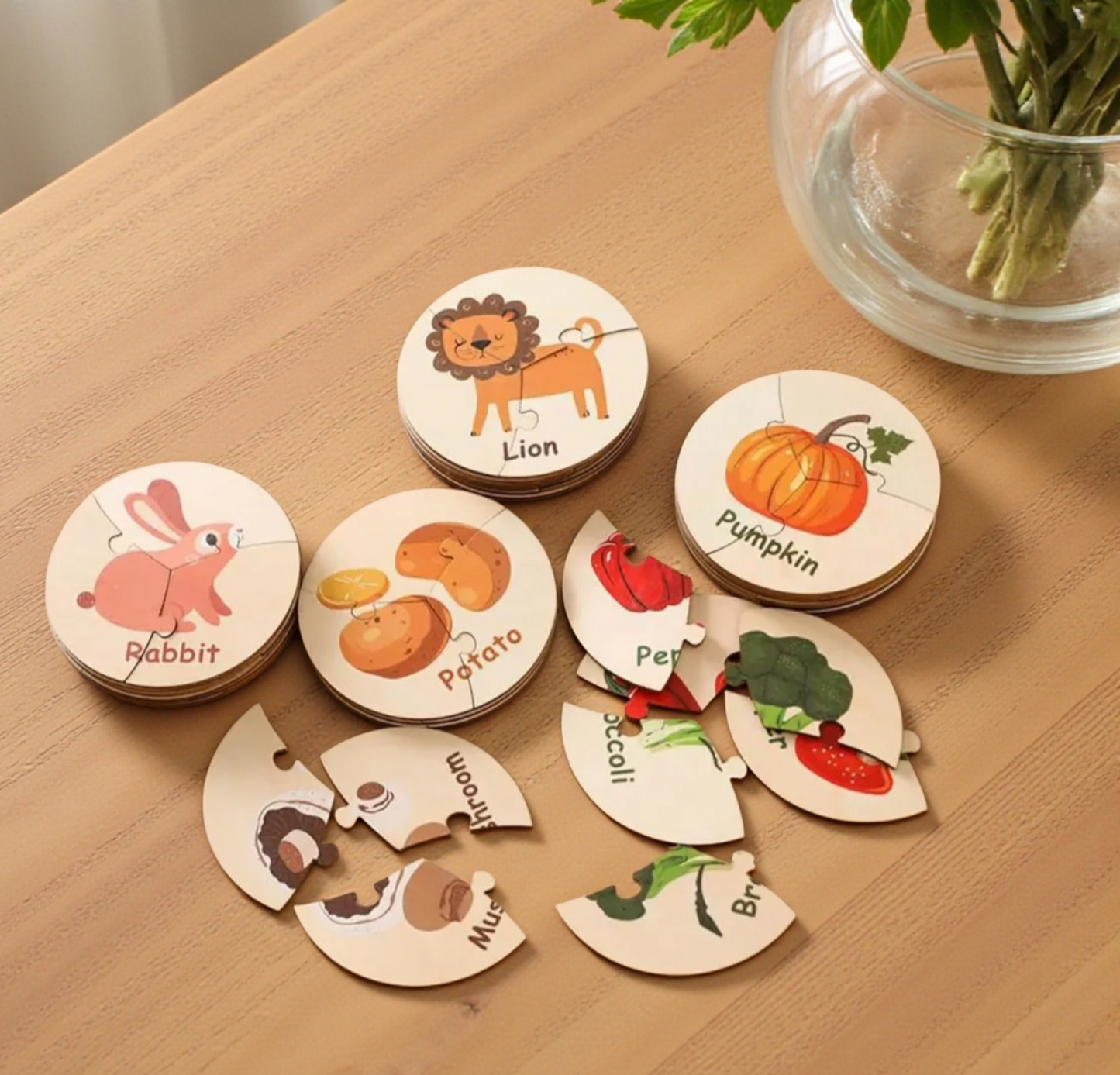 Match & Learn Circles