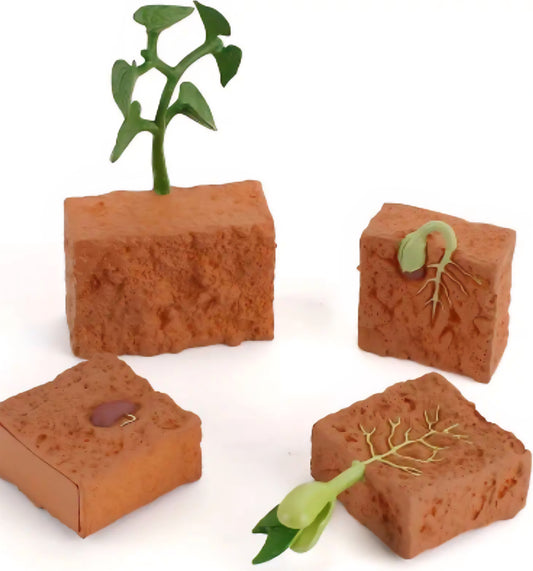 Life Cycle Figurine Sets