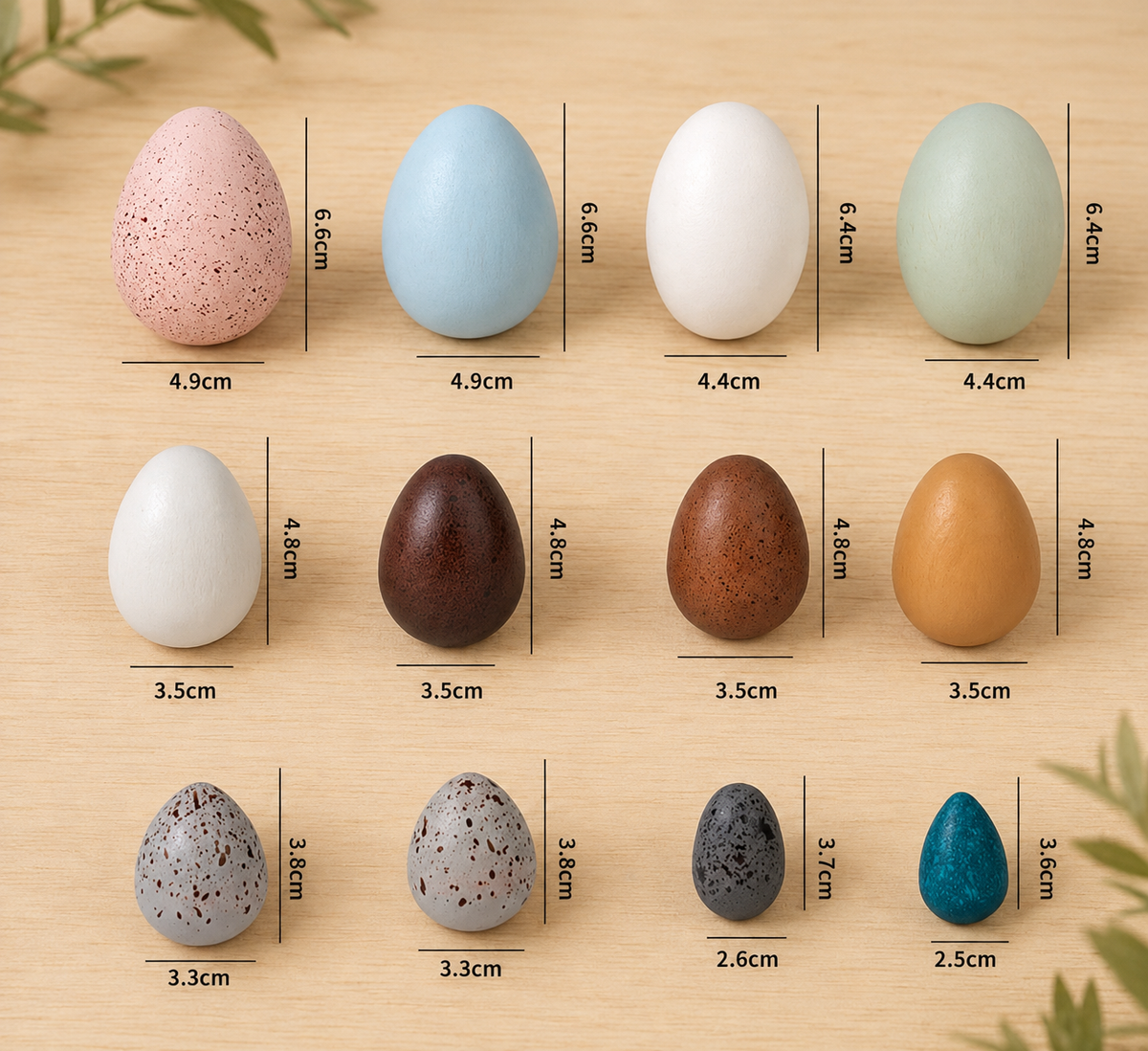 Woodland Egg Collection